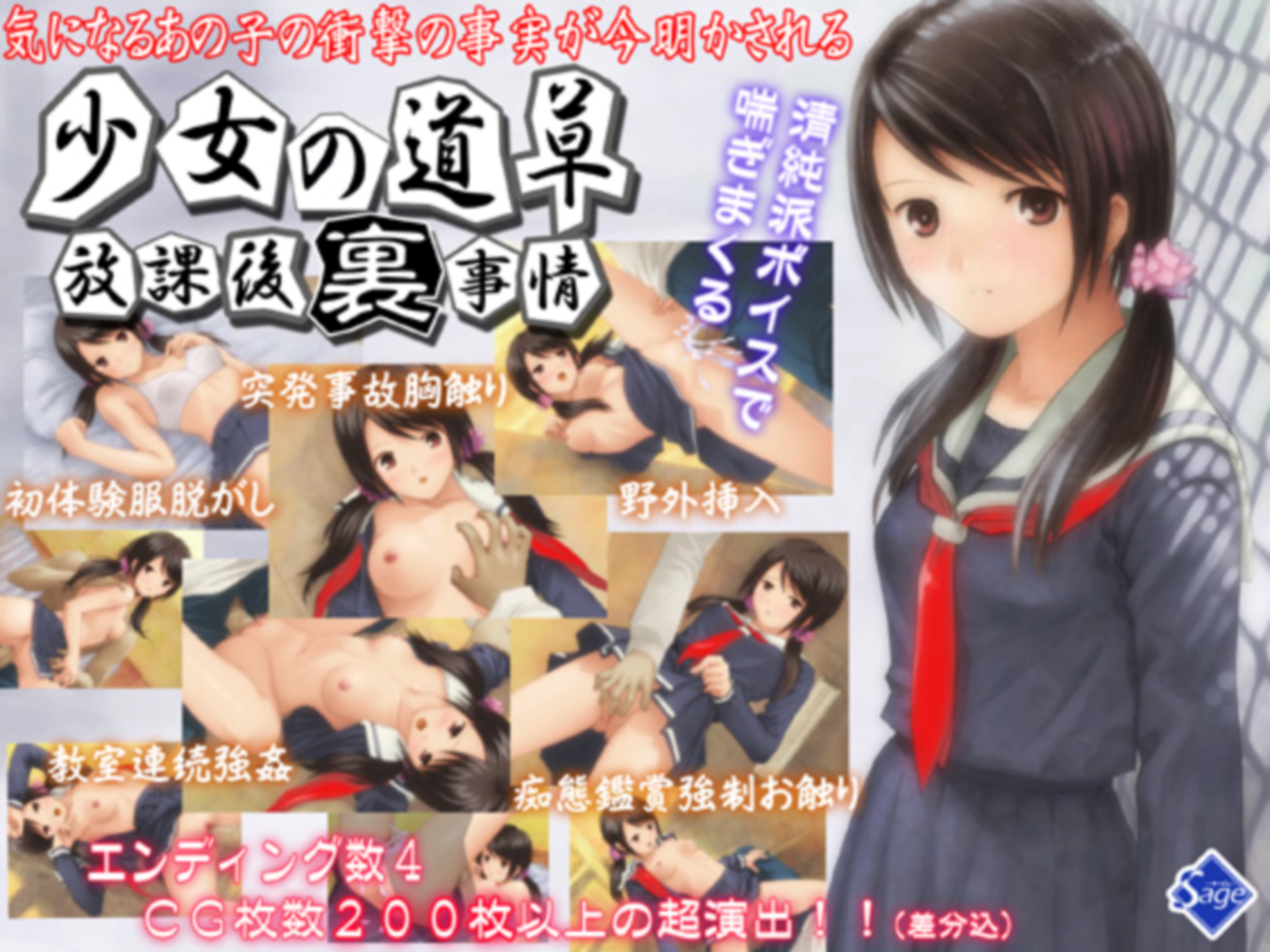 [ADV/AI翻译]少女的道路草~放学后的内幕~[340M] GAL 第1张