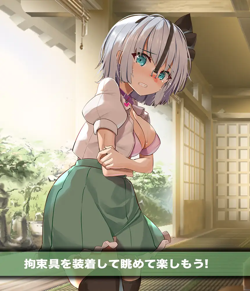 【SLG/动态/PC+APK】绑缚妖梦点击器【500M】 SLG 第5张